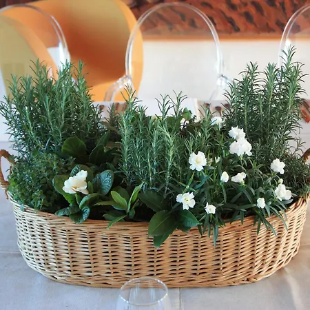 Casa Barbieri Country House * Vicenza
